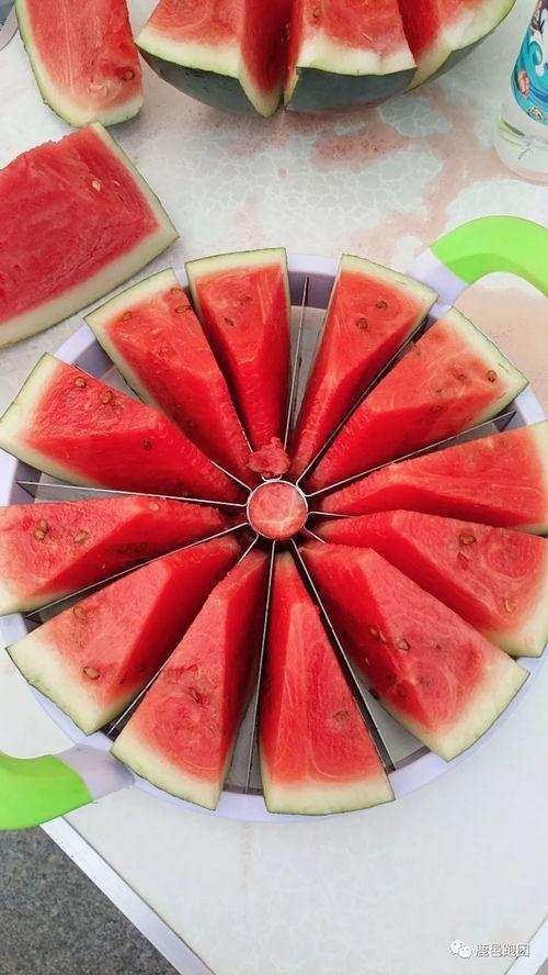吃瓜网每日大赛 吃瓜大赛,每日大赛精彩瞬间大盘点